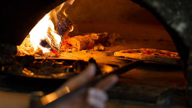 CMSIntelligence Turn-Key Website 1009