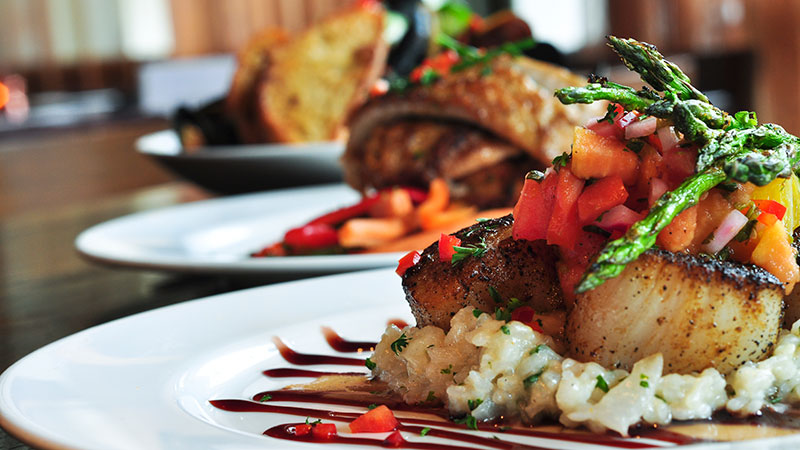 CMSIntelligence Turn-Key Website 1009