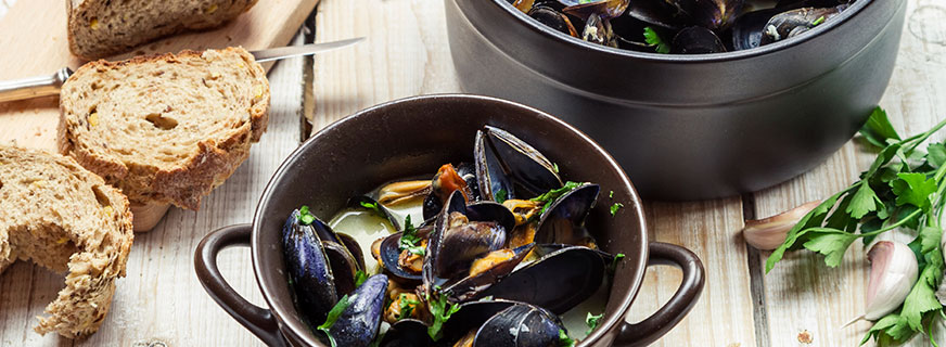 CMSIntelligence Turn-Key Website 1009